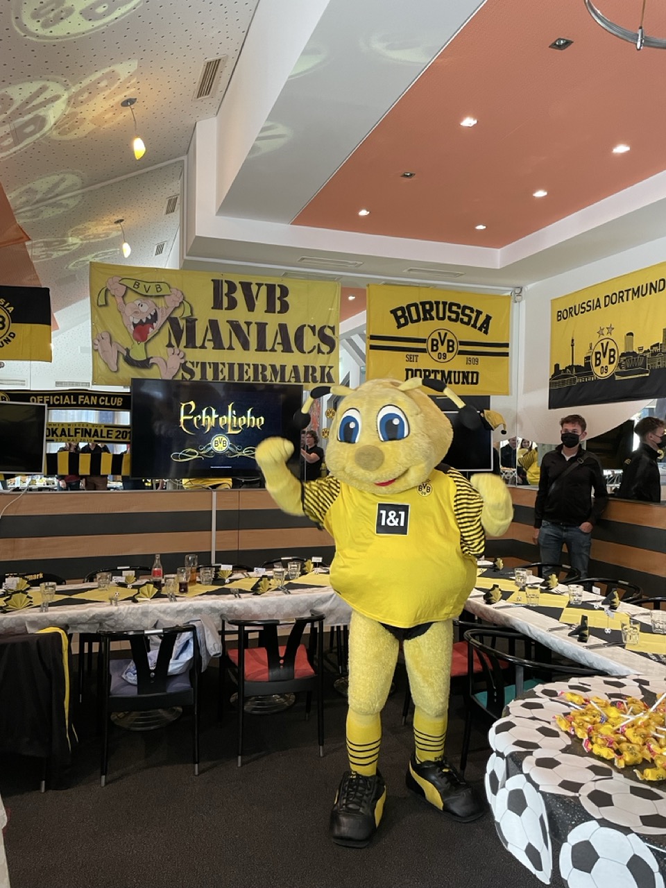 BVB Maskotchen Emma zu Gast in Graz besucht das Grazer Fan Lokal der BVB Maniacs Styria im Cafe Polanz
